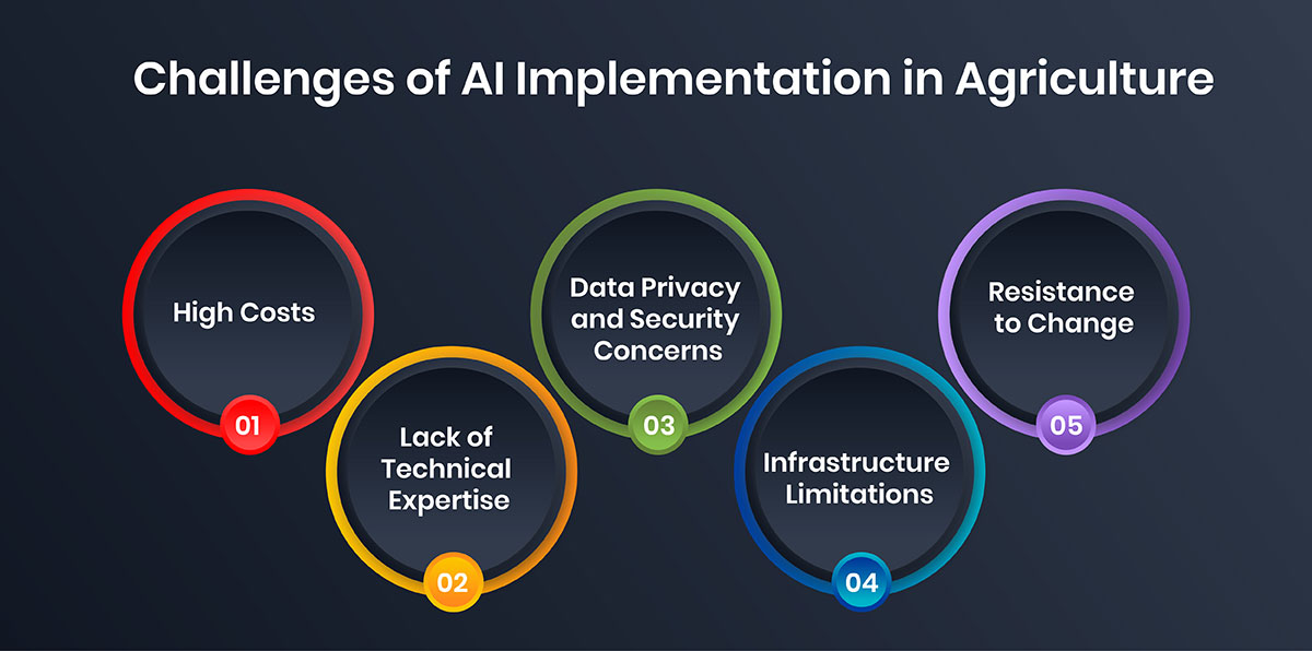 Challenges of AI Implementation in Agriculture